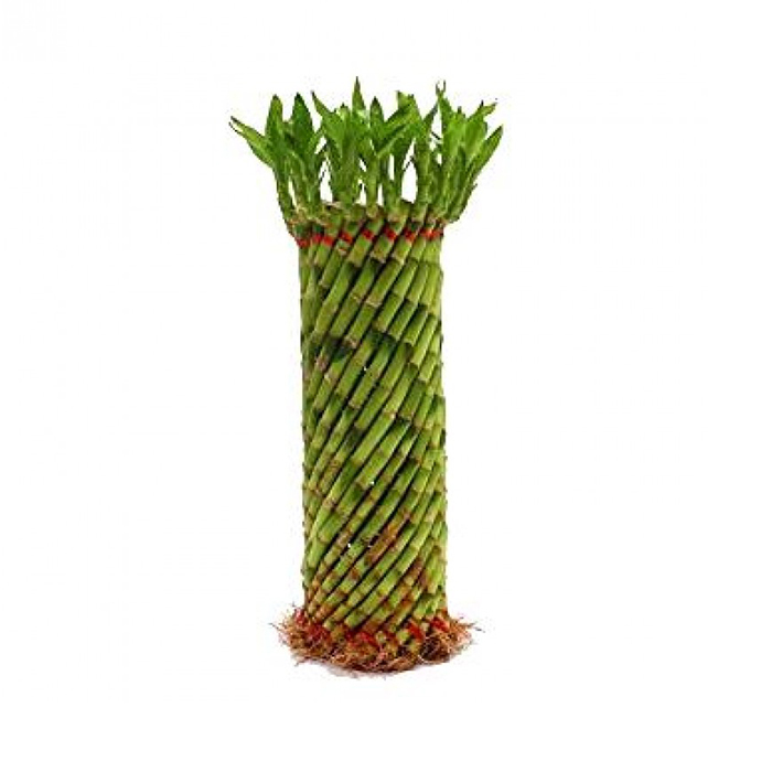 Fen shui wheel Bamboo – 12 to 15 inch