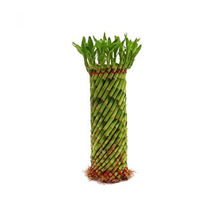 Fen shui wheel Bamboo – 14 to 18 inch