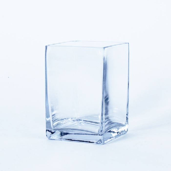 Square Glass Planters – 4inch x 6inch