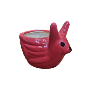Pink Snail