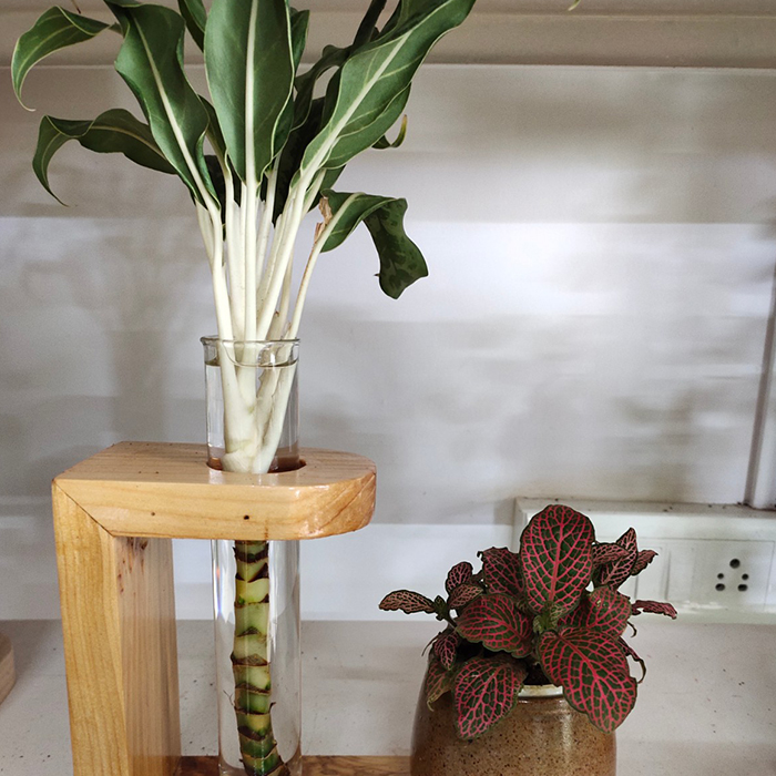 Planter with Ceramic Pot