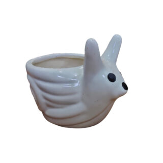 White Snail